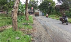 berita-pilihan-foto