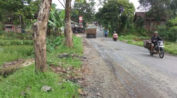 Jalan Rusak Parah Akibat Truk Angkut Batu Dari Galian C, APH dan Pemerintah Harus Tegas