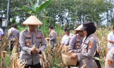 berita-pilihan-foto