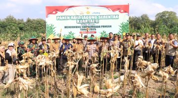 Polres Madiun gelar Panen Raya Jagung Serentak Kuartal II Virtual  bersama Presiden RI