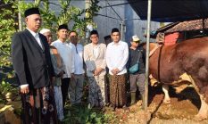 berita-pilihan-foto